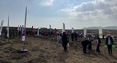 Konya'da 33 bin 811 fidan toprakla buluştu