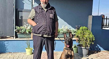 Köpek eğitmeni Eren Ay: "Köpekler kötü değildir, kötü eğitim vardır"