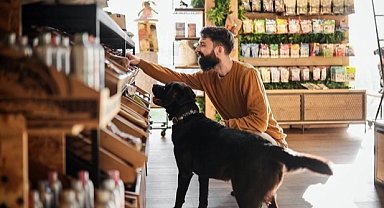Köpek ve kedi sahipleri sürdürülebilir diyetlere daha açık