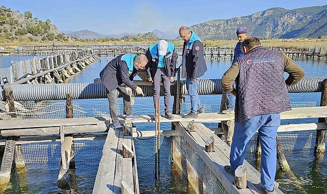 Köyceğiz Gölü, Dalyan ve İztuzu'nda denetim