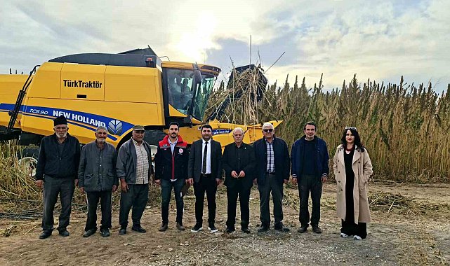 Kulu'da endüstriyel kenevirin hasadı başladı
