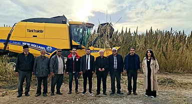 Kulu'da endüstriyel kenevirin hasadı başladı