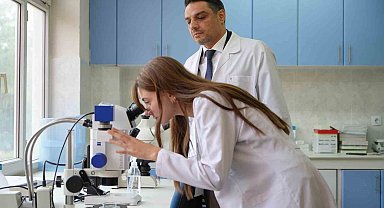 Kuraklığın ardından sinek istilası başladı