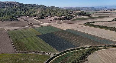 Kuraklığın vurduğu Seyhan Baraj Gölü'nün çevresi tarım arazisi oldu üretim başladı