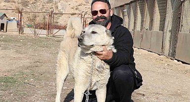 Kurtlar yerleşim yerlerine dadandı, uzmanı "Doğa insanı uyarıyor" dedi