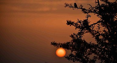 Kuş Cenneti'nde sonbahar