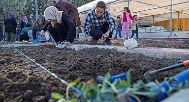 Mahalle bostanlarında kış dikimleri başladı
