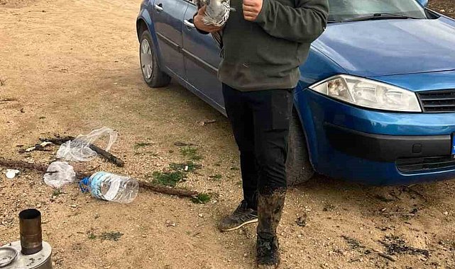 Mahsur kalan mavi balıkçıl kuşunu doğa gezisine çıkan gençler kurtardı