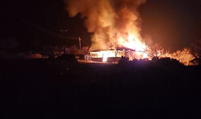 Malatya'da alevlere teslim olan ev küle döndü