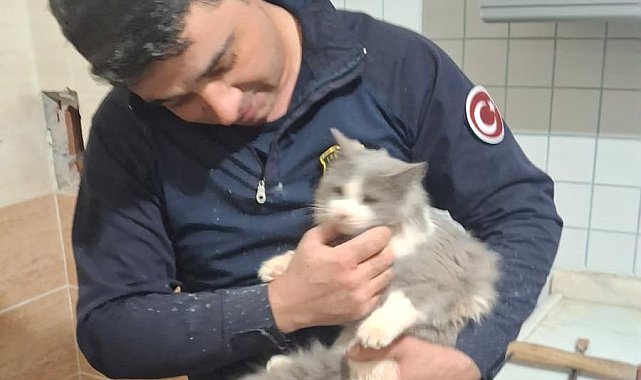 Malatya'da havalandırma boşluğuna düşen kedi kurtarıldı