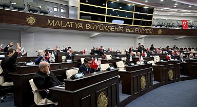 Malatya'da 300 dekarlık alan fidan ve çim üretimi için kiralandı