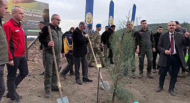 Manisa'da 2025 sonuna kadar 3,1 milyon fidan toprakla buluşacak