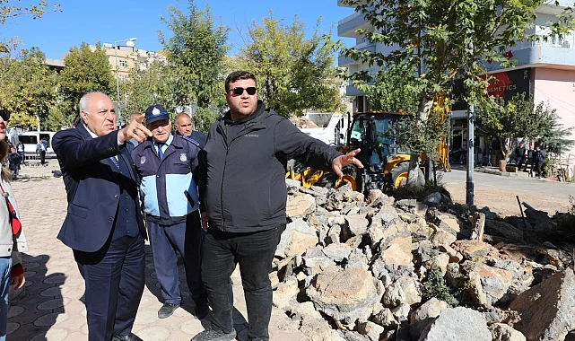 Mardin Yeşilli'de büyük dönüşüm... 50 bin ağaçlık yeşil hamle