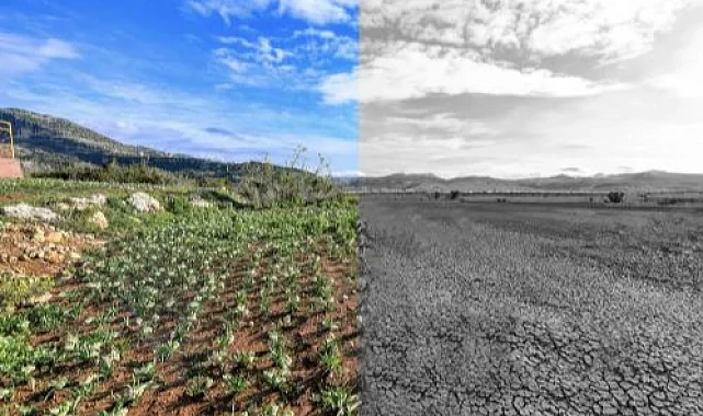 Mersin'de iklim ve yeşil dönüşüm önceliği