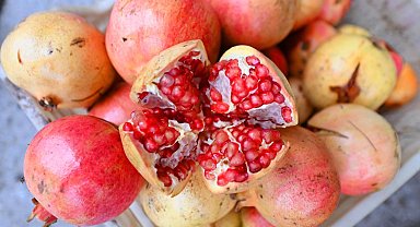 Mersin'de üreticilere nar taneleme ve sıkma makinesi desteği