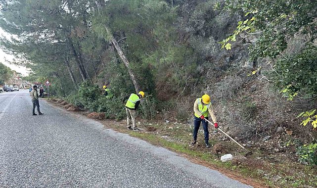 Milli Park'ta risk azaltma çalışmaları sürüyor