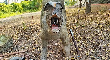 Milyonlarca lira harcanan Dinazor Park çürümeye terk edildi