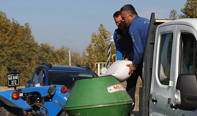 Muğla Büyükşehir'den kaba yem üretimi
