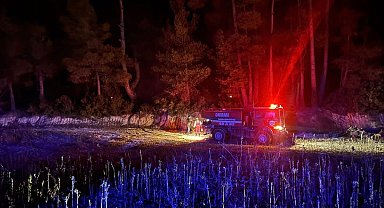 Muğla'da çıkan orman yangını kısa sürede kontrol altına alındı