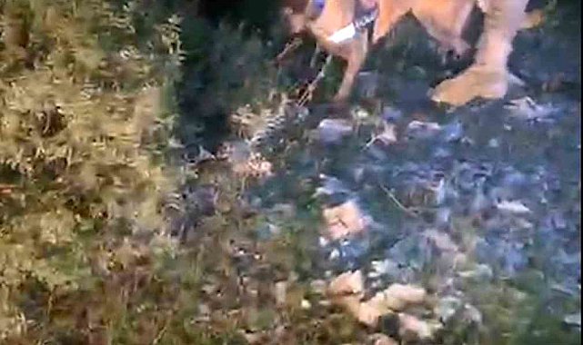 Muğla'da piyasa değeri 4 milyon TL olan uyuşturucu ele geçirildi