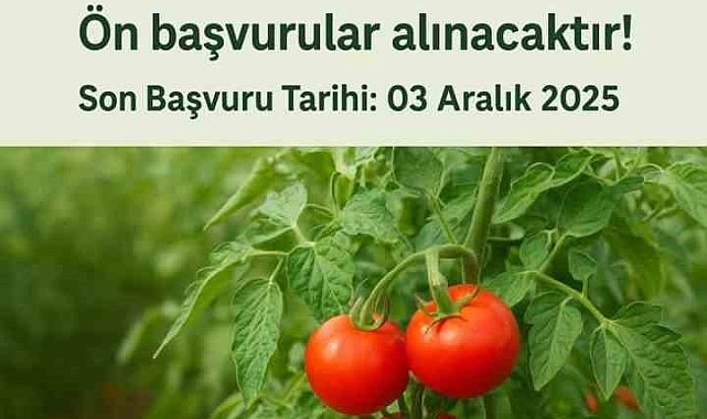 Muradiye'de "Domates Yetiştiriciliği" projesi için ön başvurular başladı