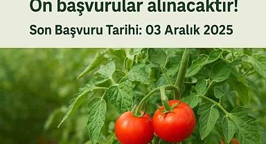 Muradiye'de "Domates Yetiştiriciliği" projesi için ön başvurular başladı