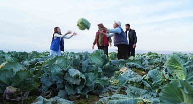 Muş Ovası'nda gönüllü gençlerden çiftçilere hasat desteği