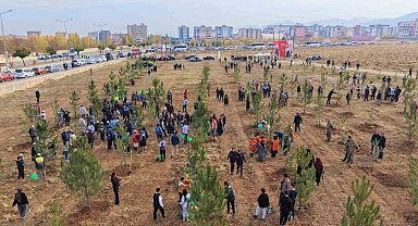 Muş'ta 20 bin fidan toprakla buluşturuldu