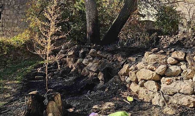 Nevşehir'de bahçe temizliği facia ile sonuçlandı