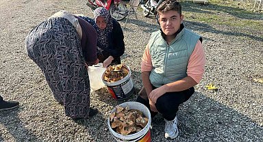 Okul harçlığını "kanlıca"dan çıkarıyor