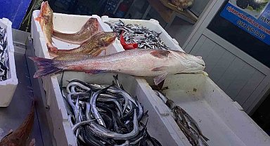 Oltayla yakalanan deniz levreği 9 bin liraya satıldı