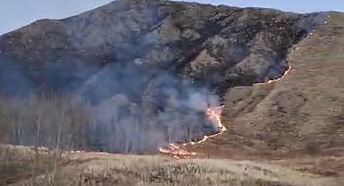 Oltu'da örtü yangını korkuttu