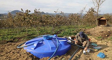 Ordu'da fındık bahçelerine kuraklık tehlikesine karşı damlama sistemi