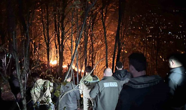 Ordu'da ormanlık alanda yangın