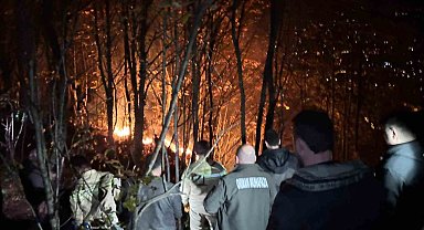 Ordu'da ormanlık alanda yangın