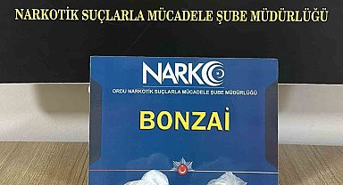 Ordu'da uyuşturucu operasyonları: 5 tutuklama