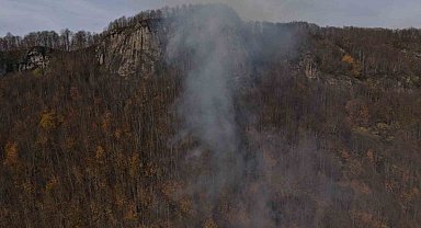 Ordu'daki ormanlık alandaki yangın kontrol altına alındı