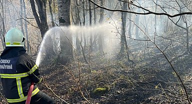Ordu'da bir haftada 40 yangın alarmı