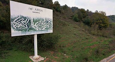 Ormana tabela asıp milyonlar topladılar