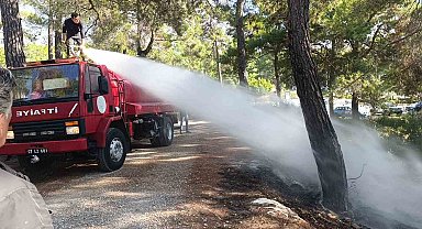 Ormanlık alanda çıkan yangını vatandaşlar söndürdü