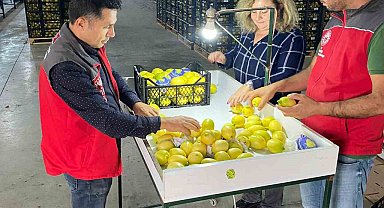 Ortaca'da ihracata giden ürünlere onay