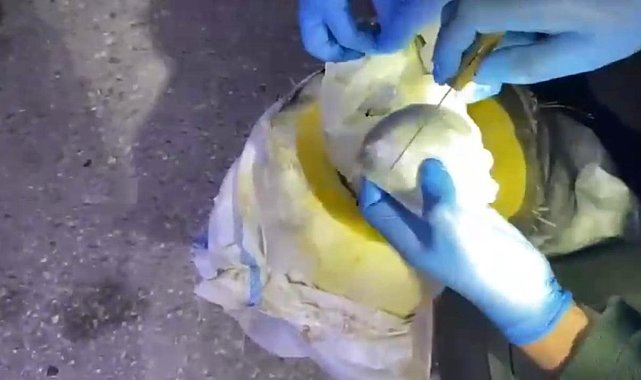 Osmaniye'de bal kabağından uyuşturucu çıktı