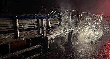 Osmaniye'de mısır yüklü tır alev alev yandı