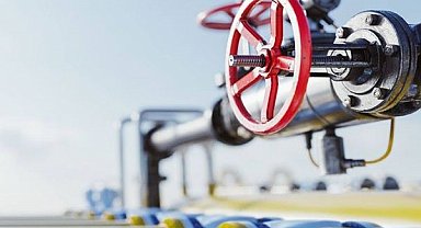 PALEN, kış ortasında dondurdu