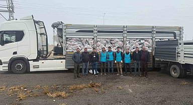 Patnos'ta on bin haneye kömür desteği