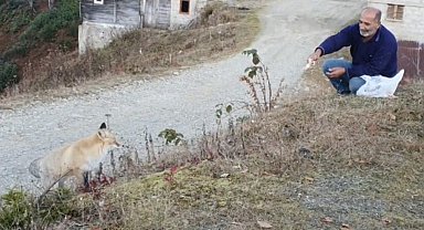 Pimbilona Yaylası'nda sıra dışı dostluk