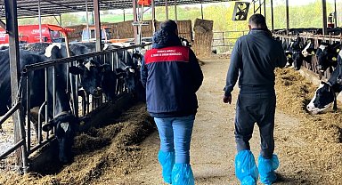 Pınarhisar'da ari hayvan işletmelerindeki çalışmalar incelendi