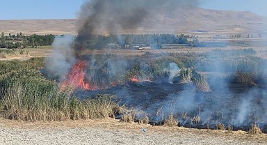 Prof. Dr. Lokman Aslan: "Sulak alanlar tabiatın rahimleridir"