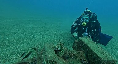 Profesör deniz dibinde taşlardan balıklara yuva yaptı: 12 tür barış içinde yaşıyor