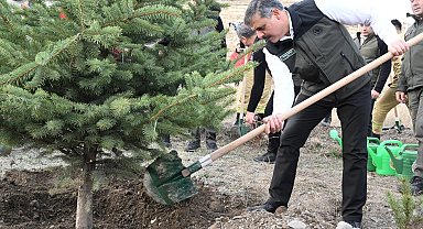 "Hastaya kan, ormana can"